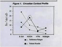loss of circadian rhythm 